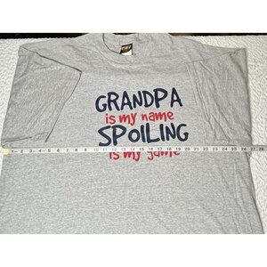 TSI Mens Gray Graphic Tee Shirt 2XL Short Sleeve